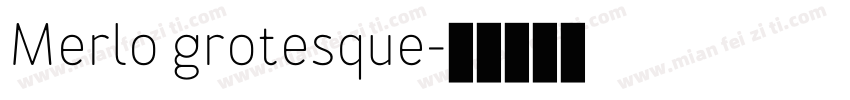 Merlo grotesque字体转换